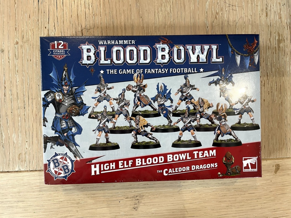 BLOOD BOWL: HIGH ELF BLOOD BOWL TEAM