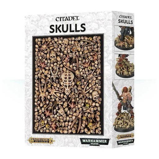 [64-29] CITADEL SKULLS