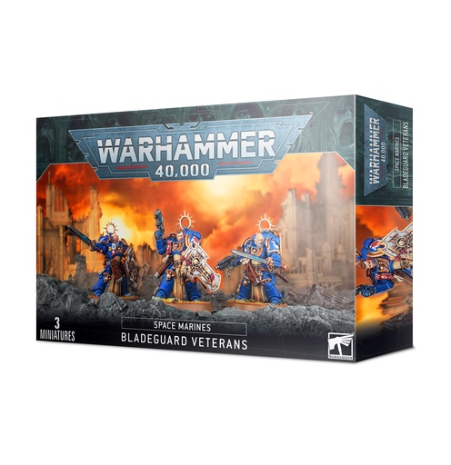 [48-44] Space Marines : Bladeguard Veterans